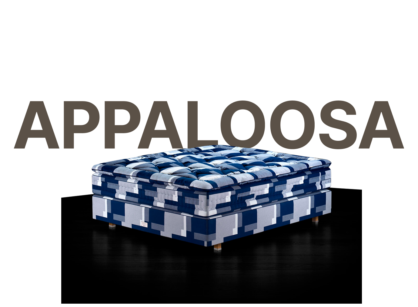 APPALOOSA