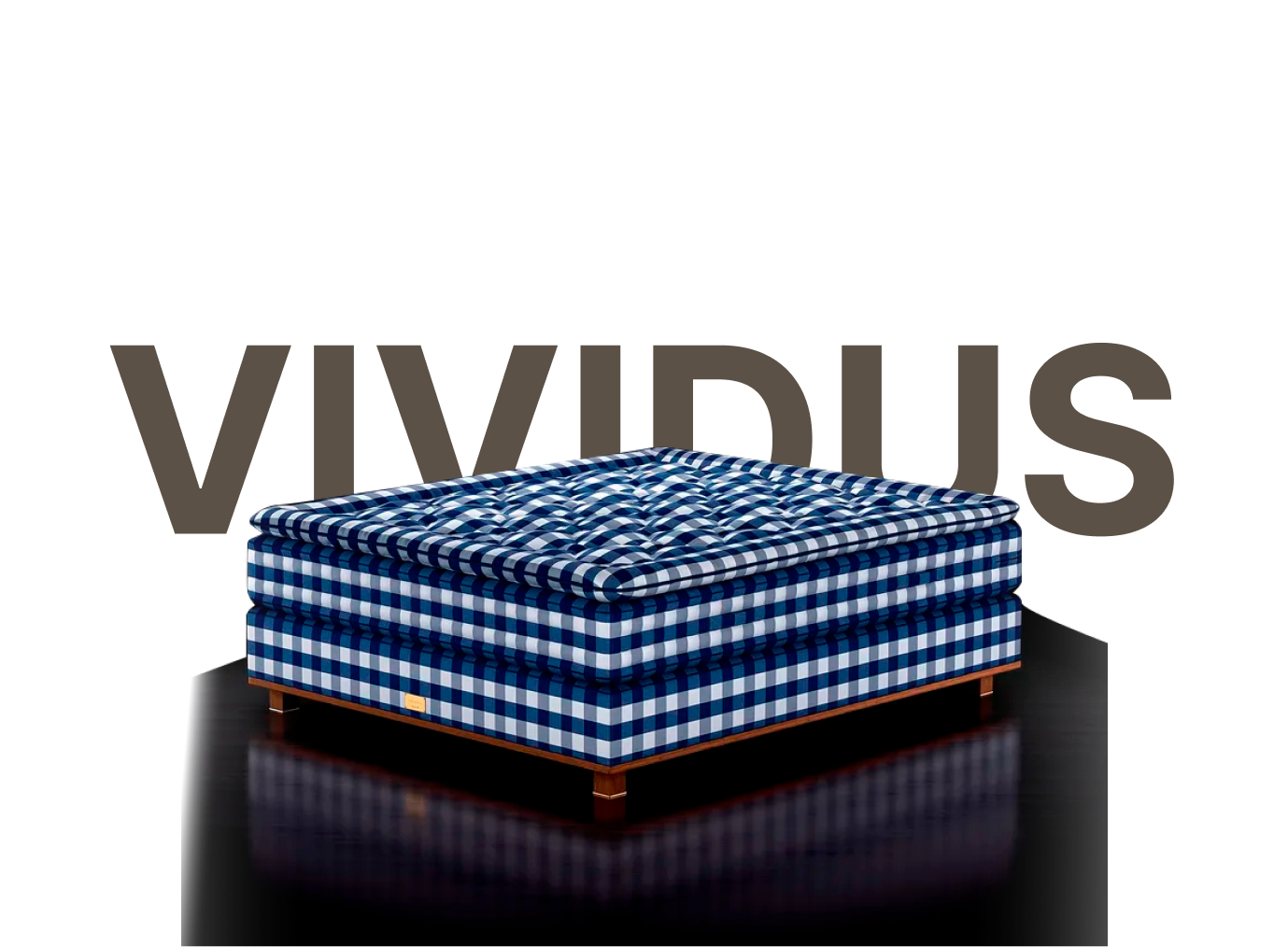 VIVIDUS